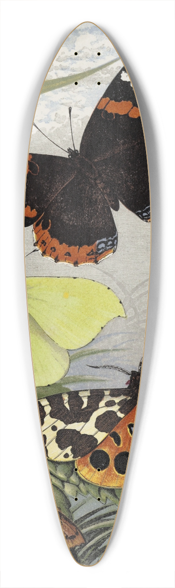 William Houghton - Lepidoptera 39.3 inch art pintail longboard deck