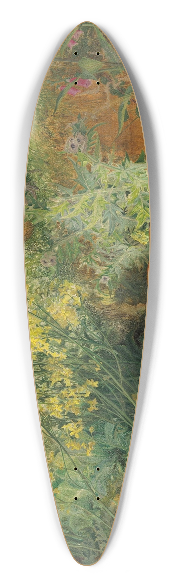 William James Webbe - Chanticleer and the fox 39.3 inch art pintail longboard deck