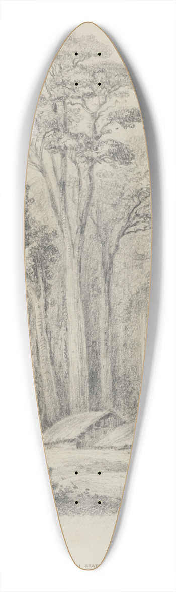 William Swainson - Wirinaki Station 39.3 inch art pintail longboard deck