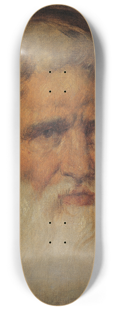 Hans Canon - Moses 8.25 inch art skate deck