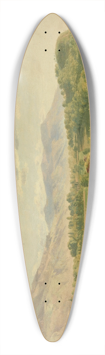 Wolfgang Adam Tpffer - Les ruines des Allignes 39.3 inch art pintail longboard deck