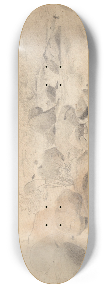 Hans Gude - Elvestryk ved l i Hallingdal 8.25 inch art skate deck