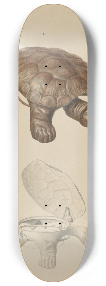 Hans Mangelsdorf - Cuspidor 8.25 inch art skate deck
