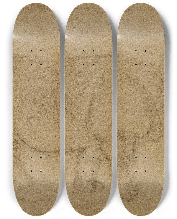 Triptych art skateboard deck of Antoinelouis Barye Rhinocros by Antoine-Louis Barye (1796-1875)