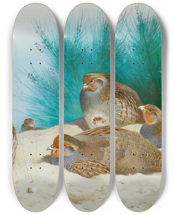 Triptych art skateboard deck of Archibald Thorburn English Partridge With Gorse And Thistles by Archibald Thorburn (1860-1935)