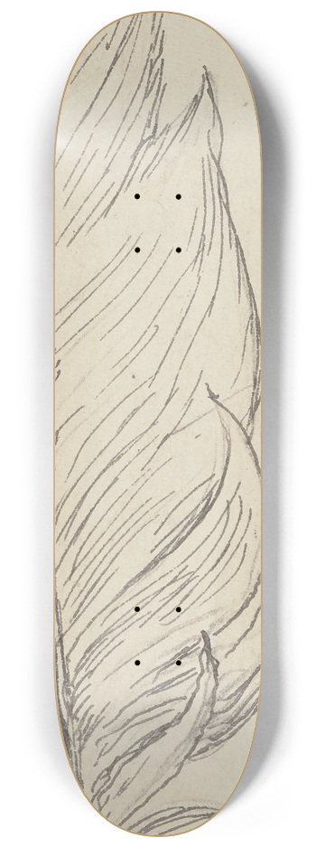 Hans Thoma - Feder 8.25 inch art skate deck