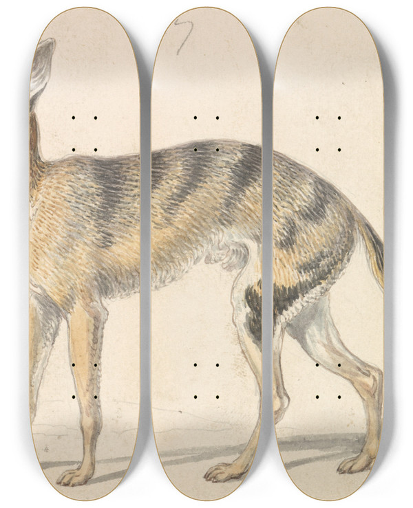 Triptych art skateboard deck of Charles Hamilton Smith Senegalese Wolf Or Grey Jackal by Charles Hamilton Smith (1776-1859)