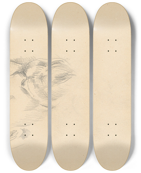 Triptych art skateboard deck of Paul Czanne Selfportrait_1 by Paul Cezanne (1839-1906)