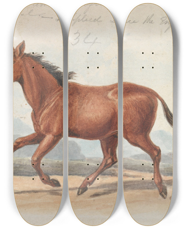 Triptych art skateboard deck of Charles Hamilton Smith The Koomrah Horse by Charles Hamilton Smith (1776-1859)