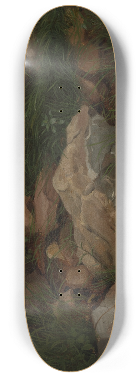 Hans Thoma - Steine im Gras 8.25 inch art skate deck