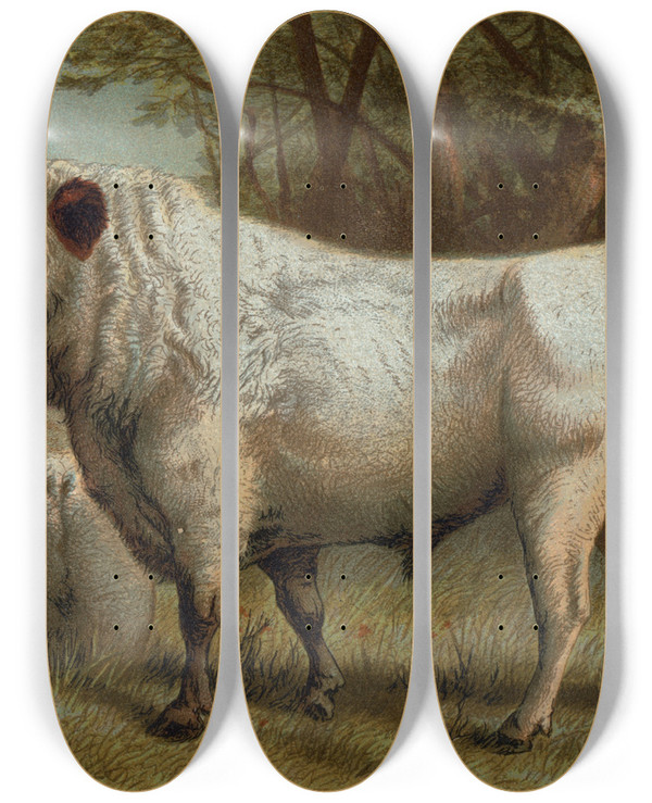 Triptych art skateboard deck of John George Wood Chillingham Cattle by John George Wood (1827-1889)