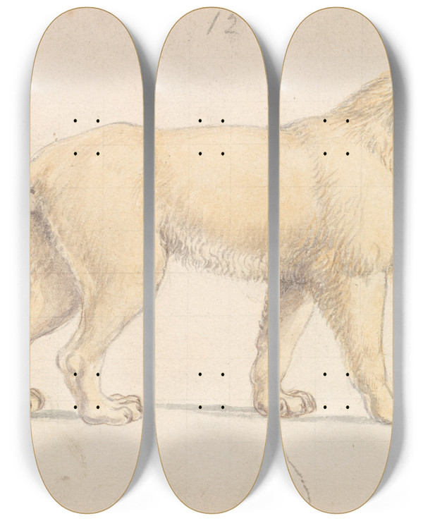 Triptych art skateboard deck of Charles Hamilton Smith Tsavo Lion by Charles Hamilton Smith (1776-1859)