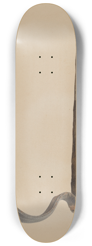 Harold Ballerd - Rain Gutter Stirrup 8.25 inch art skate deck