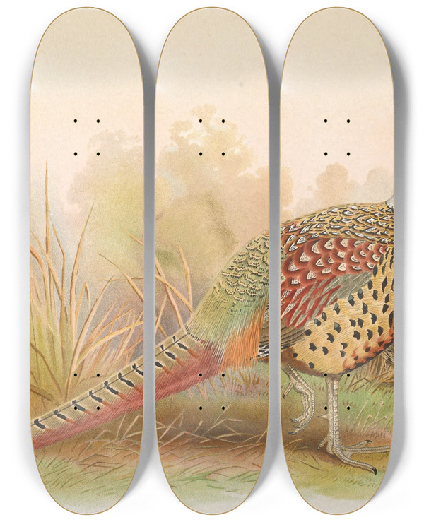 Triptych art skateboard deck of Henry Jones Kobdo Pheasant by Henry Jones (1838-1921)
