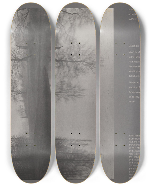 Triptych art skateboard deck of Peter Pettus In Natural Light by Peter Pettus (1935)