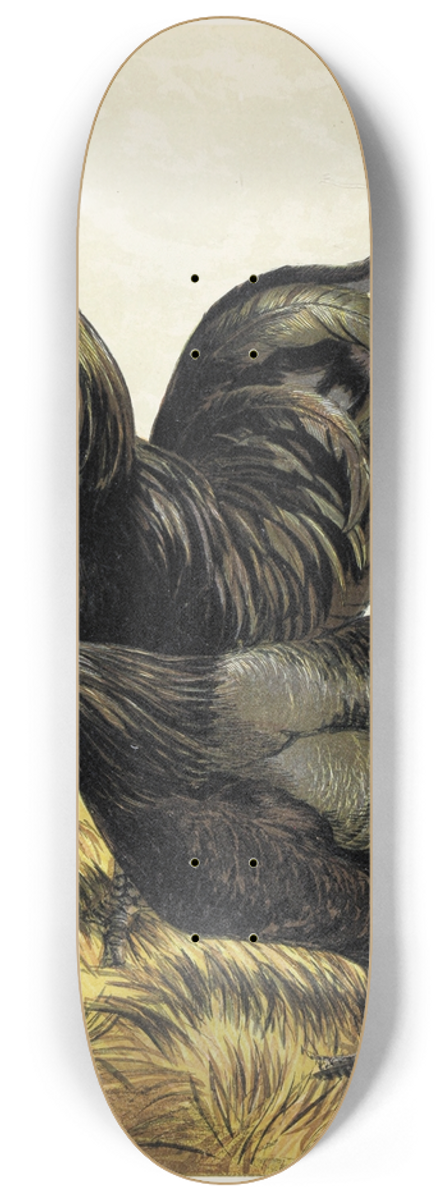 Harrison Weir - La Fleche 8.25 inch art skate deck