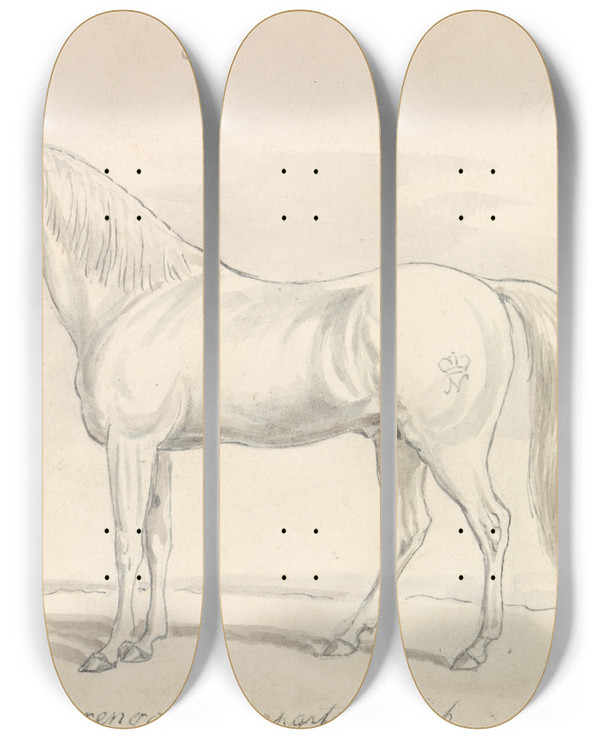 Triptych art skateboard deck of Charles Hamilton Smith Marengo Bonapartes Arab by Charles Hamilton Smith (1776-1859)