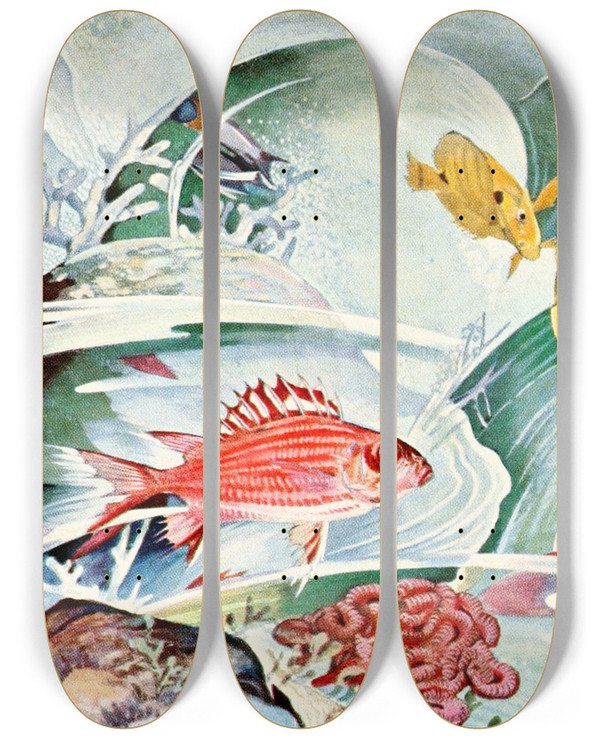 Triptych art skateboard deck of Stephen Haweis Squirrel Fish Of Honolulu by Stephen Haweis (1878-1969)