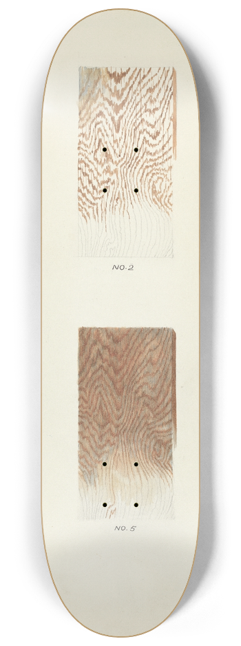 Harry Mann Waddell - Technique Demo (Wood Grain) 8.25 inch art skate deck