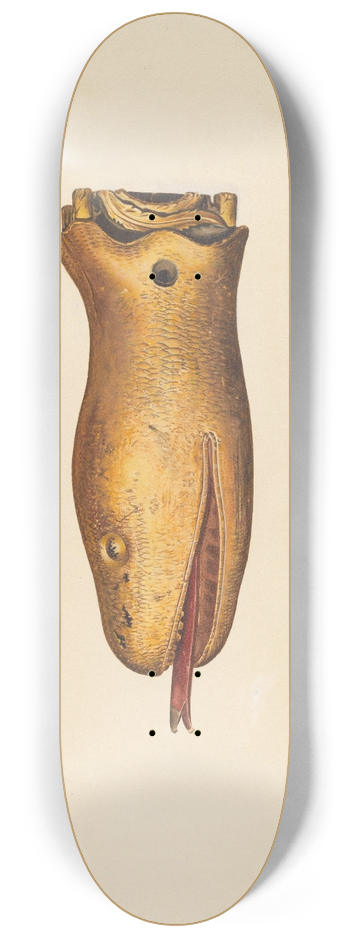Hazel Hyde - Figurehead from the Diadem 8.25 inch art skate deck