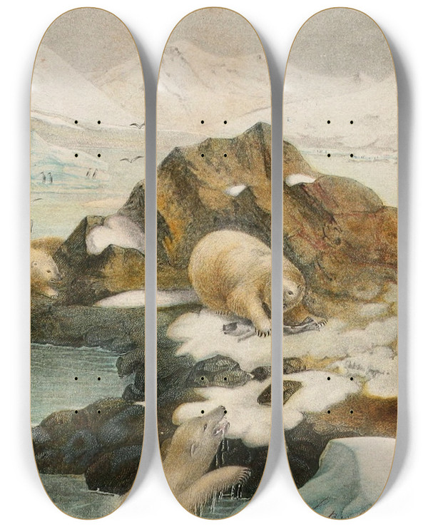 Triptych art skateboard deck of Alfred Frdol Ours Blancs by Alfred Fredol (1804-1863)