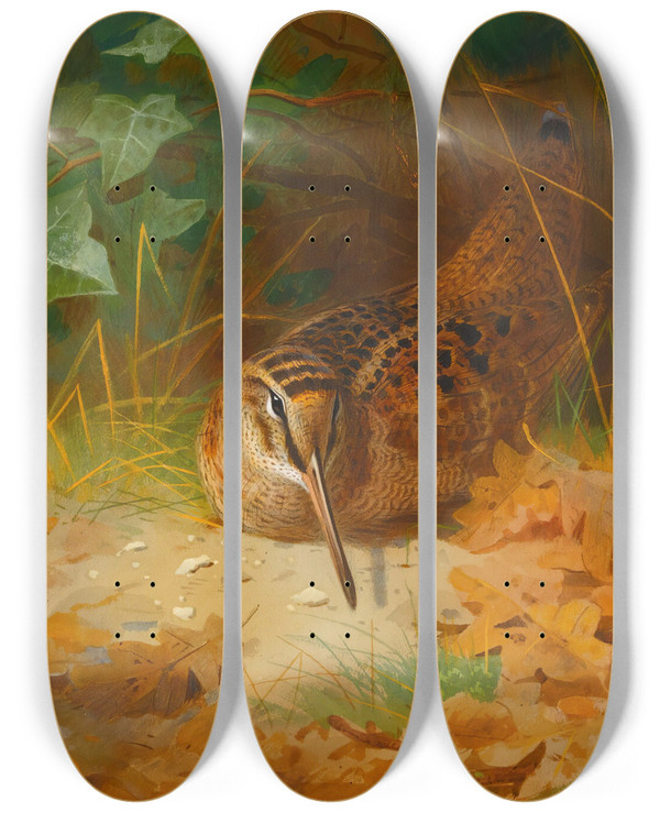 Triptych art skateboard deck of Archibald Thorburn Woodcock by Archibald Thorburn (1860-1935)