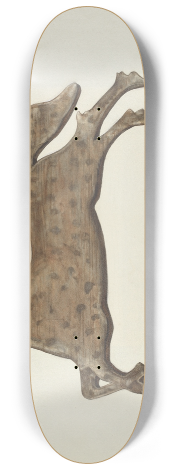 Helen D. Bashian - Weather Vane 8.25 inch art skate deck