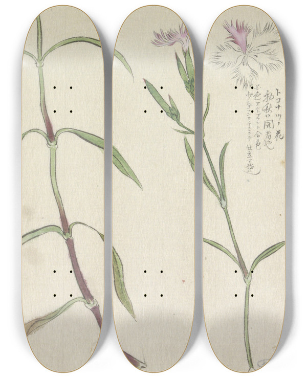 Triptych art skateboard deck of Ishikawa Kazan Schetsblad Met Studies Van Een Wilde Anjelier by Ishikawa Kazan (1810-1823)