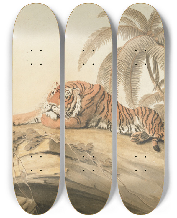 Triptych art skateboard deck of Samuel Howitt A Tiger Resting by Samuel Howitt (1756-1822)
