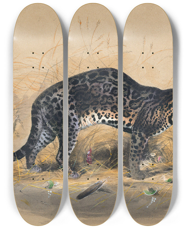 Triptych art skateboard deck of Joseph Wolf The Painted Ocelot_1 by Joseph Wolf (1820-1899)