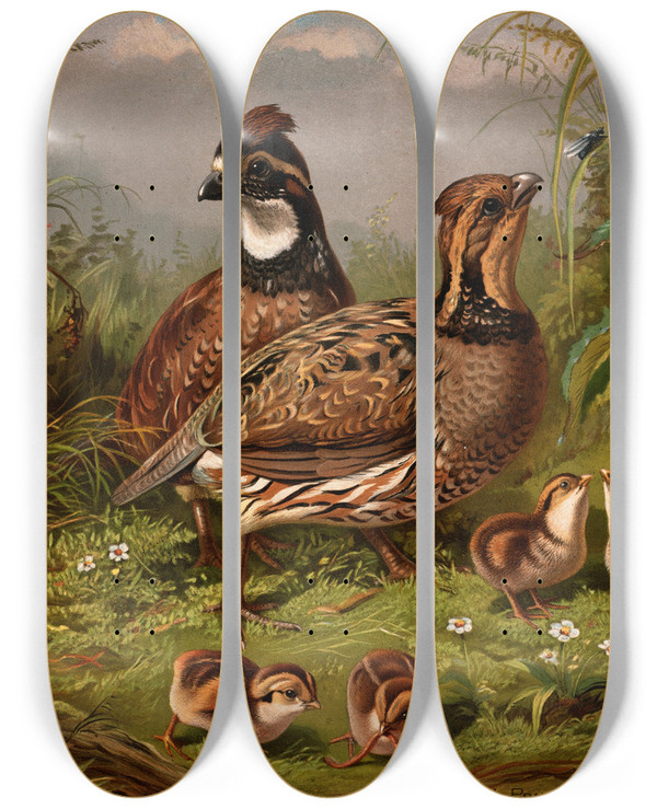 Triptych art skateboard deck of Arthur Fitzwilliam Tait Quail by Arthur Fitzwilliam Tait (1819-1905)