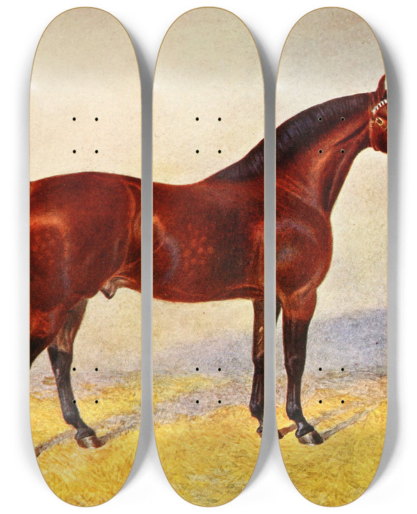 Triptych art skateboard deck of Frank Babbage Cleveland Bay Stallion Sultan by Frank Babbage (1858-1916)