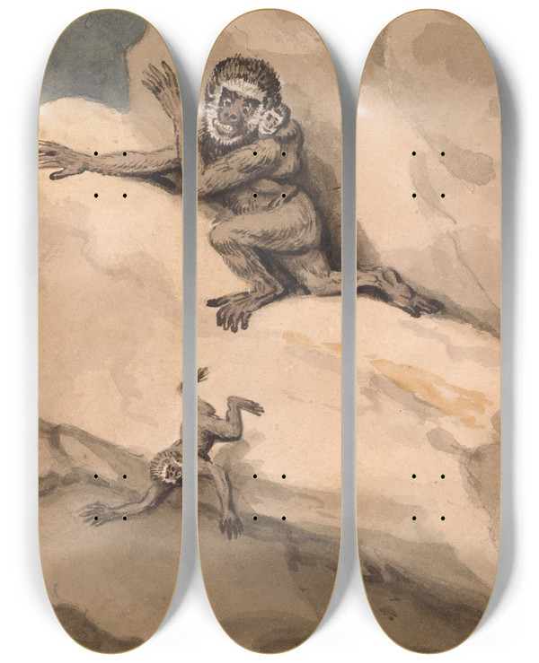 Triptych art skateboard deck of Samuel Howitt A Monkey And Young by Samuel Howitt (1756-1822)