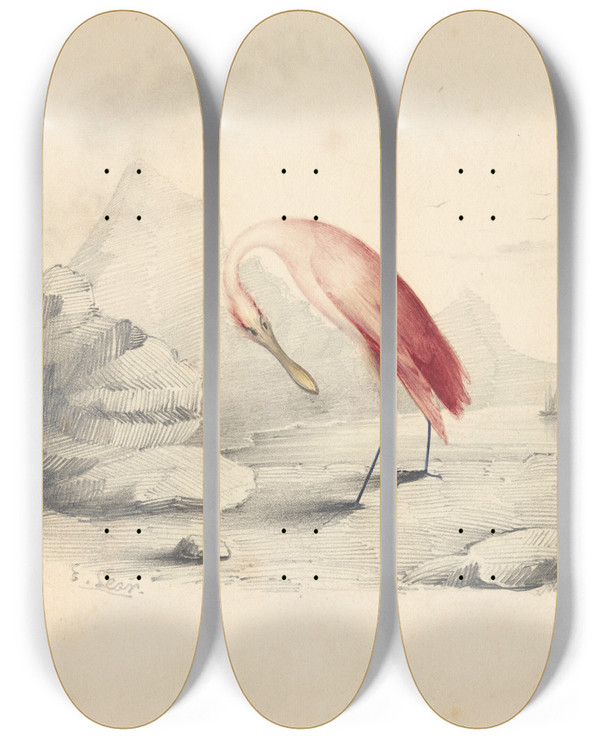 Triptych art skateboard deck of Edward Lear A Flamingo by Edward Lear (1812-1888)