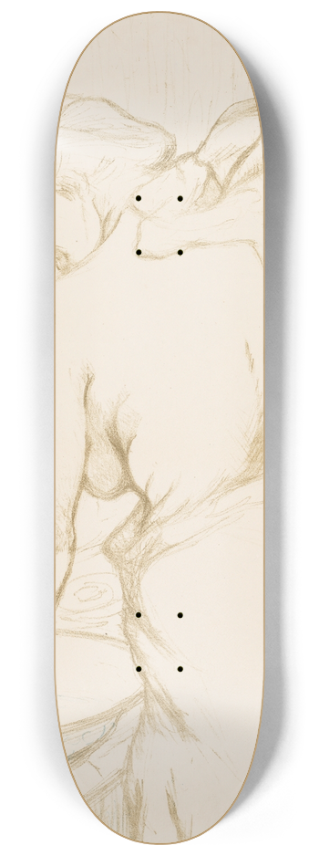 Henri de Toulouse-Lautrec - Elles: The Toilet 8.25 inch art skate deck