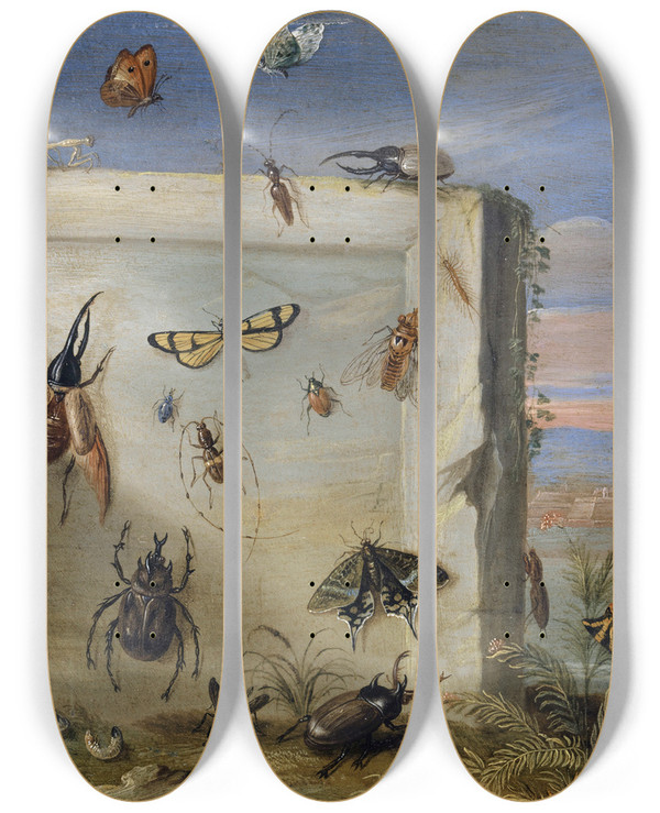 Triptych art skateboard deck of Jan Van Kessel The Elder Insects On A Stone Slab by Jan Van Kessel The Elder (1626-1679)