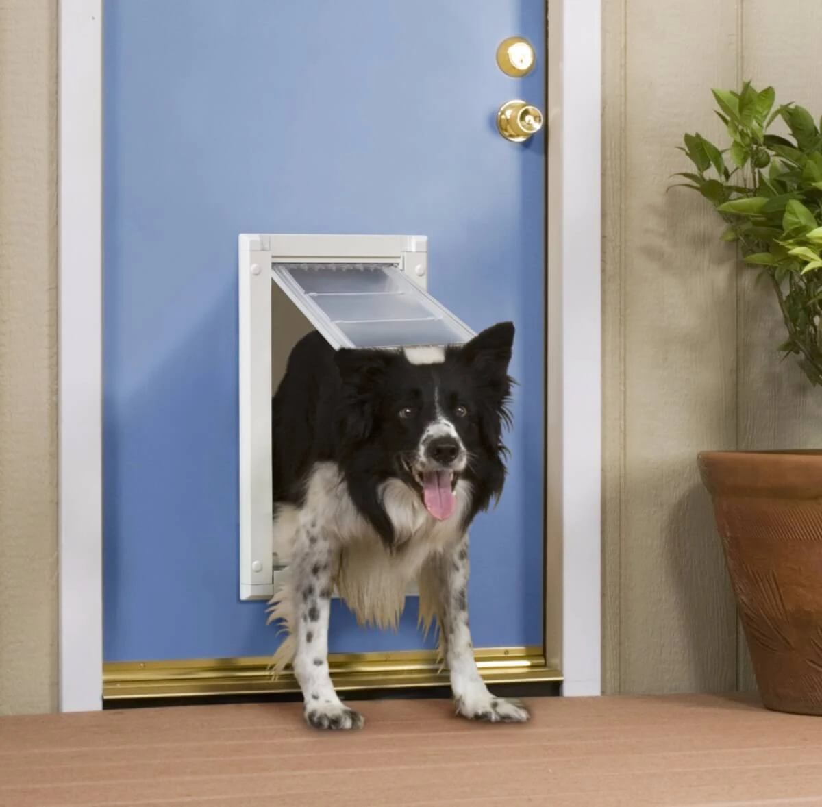 Endura Flap Dog Door Pet Door Store