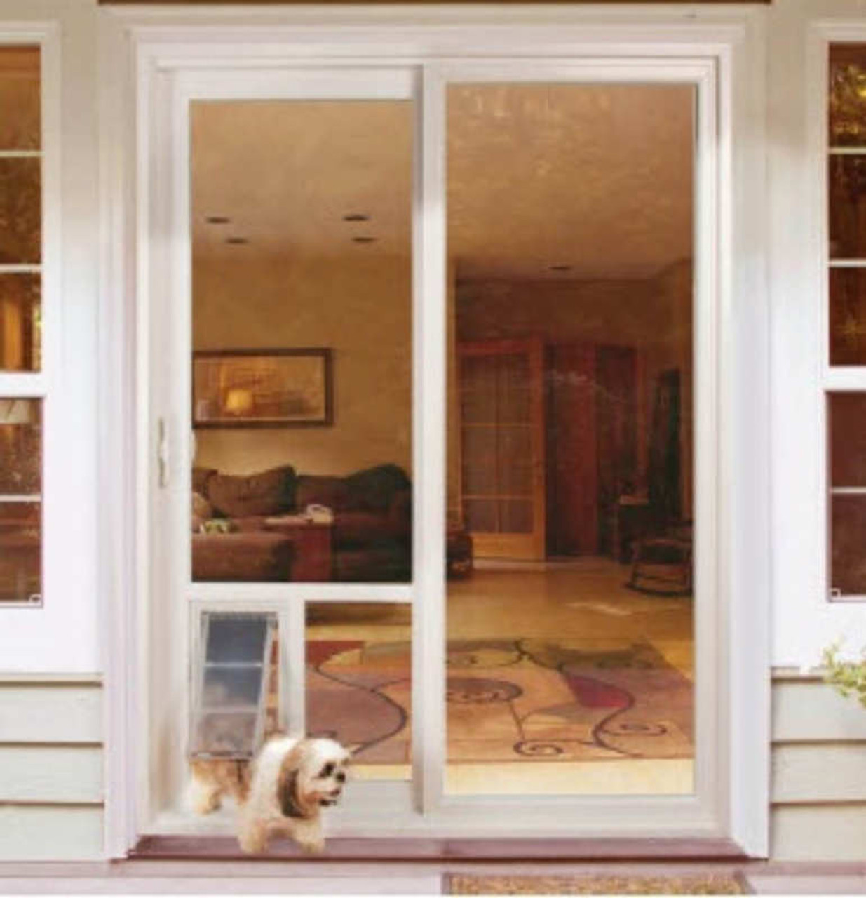 cat flap in french doors