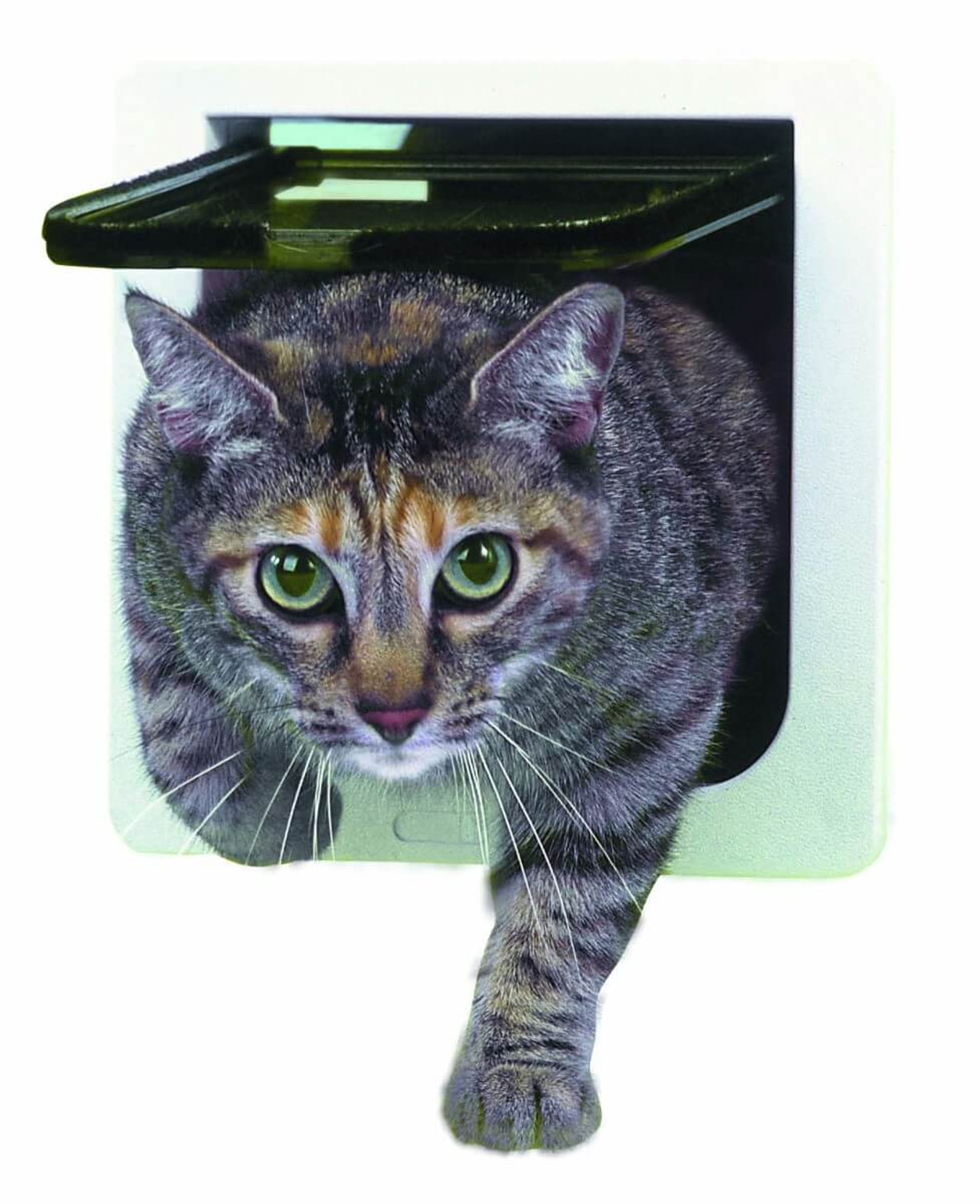 Ideal Pet Products Cat Flap Pet Door Store