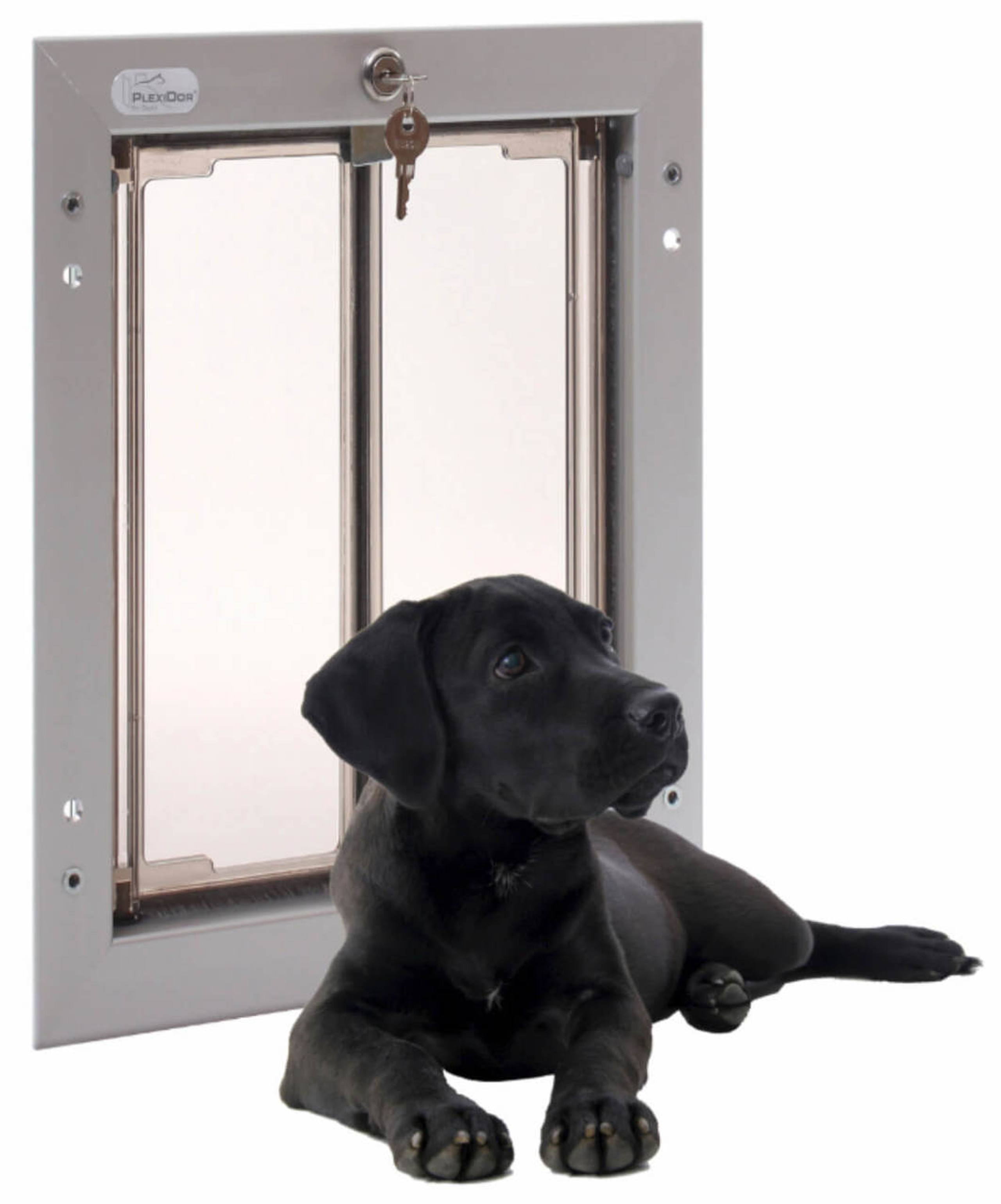 Dog Doors Plexidor Pet Door Saloon Door Pet Door Store