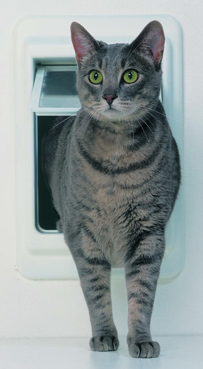 Ideal Pet Products Cat Flap Pet Door Store