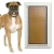 Duraflex dog door uses strong magnets to stay shut