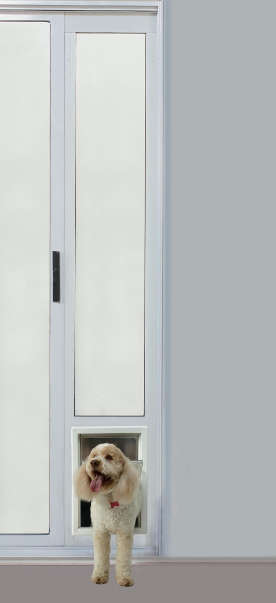 Dog Doors, Pet Doors, Cat Doors