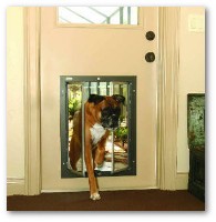 dog-doors-for-doors.jpg