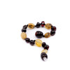 Baltic Amber  bracelet / anklet - mixed beads dark cherry + swamp honey