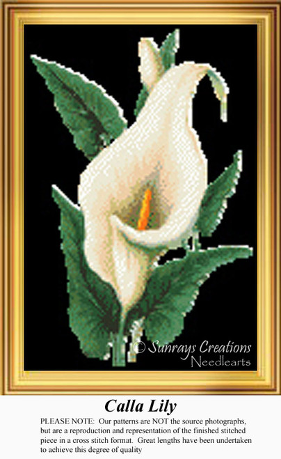 A calla lily blossoms with white petals and green leaves on a black background, ready as your next cross stitch project!