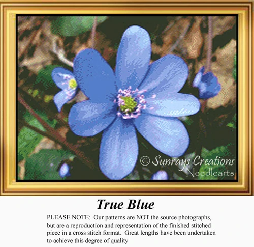 A closeup of a blue flower with lavender stamens, displayed as a beautiful cross stitch kit, showcasing solid colors for a realistic effect.