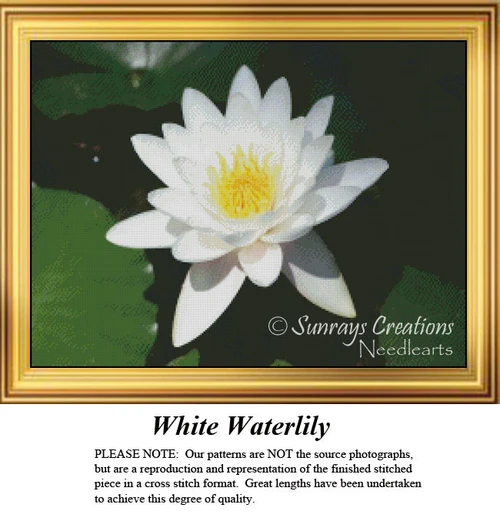 A white waterlily with gleaming petals and a yellow center sits gracefully on a pond, perfect for your next cross stitch project.
