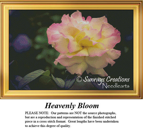 A yellow flower tinged with pink stands out against a dark background, waiting as your next cross stitch project.