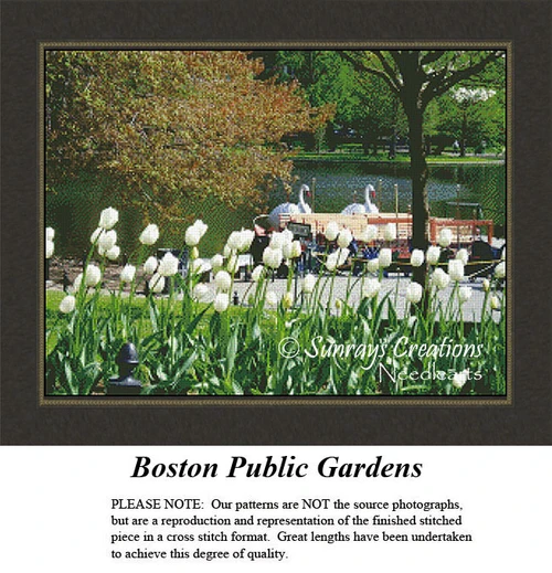 A vibrant scene from the Boston Public Garden with swans gliding on the pond, framed by tulips, presented as a digital file for cross stitch.
